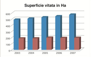 superficie_vitata_grafico